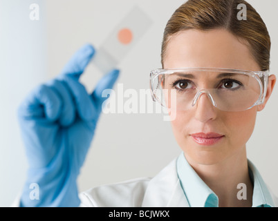 Female scientist holding du papier de tournesol Banque D'Images