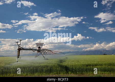 Alamosa Colorado un système d'irrigation à pivot central d'une campagne agricole des eaux dans le haut désert de la vallée de San Luis Banque D'Images