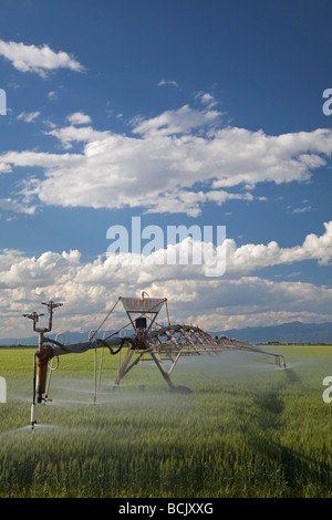 Alamosa Colorado un système d'irrigation à pivot central d'une campagne agricole des eaux dans le haut désert de la vallée de San Luis Banque D'Images