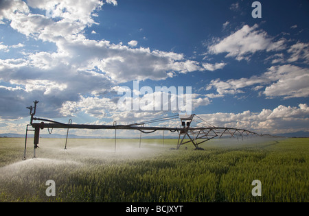 Alamosa Colorado un système d'irrigation à pivot central d'une campagne agricole des eaux dans le haut désert de la vallée de San Luis Banque D'Images