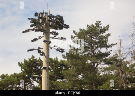 Mât de téléphonie mobile sous la forme d'un arbre pour se fondre dans la campagne Banque D'Images