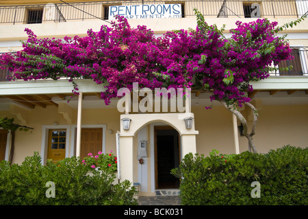 Maisons de vacances et appartements couvertes de bougainvillées dans le village d'Assos sur l'île grecque de Céphalonie, Grèce GR Banque D'Images