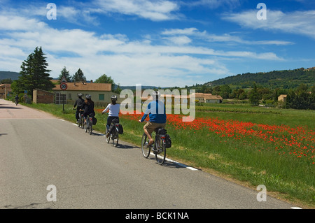 Une partie des cyclistes sur des vélos électriques sont tournées la paisible bordé de pavot routes de Provence France Banque D'Images