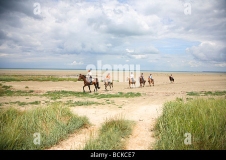 France, Normandie, Normandie, Manche, Saint Benoît des ondes, st, Benoit, plage Banque D'Images