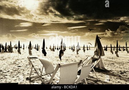 Chaises de plage et parasols fermés sur plage, b&w, tonique Banque D'Images