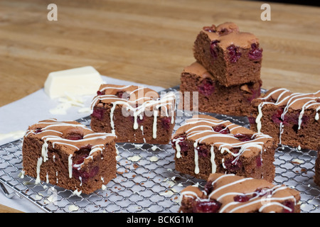 Marron et blanc Banque D'Images