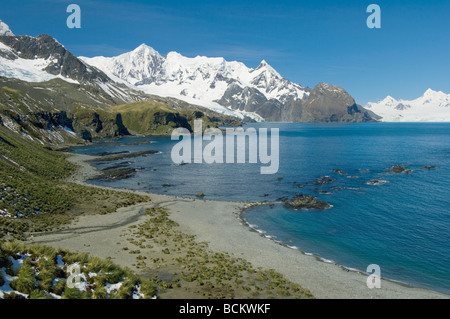 L'île de Géorgie du Sud, Antarctique, Agata South Harbour, à au sud-est Banque D'Images