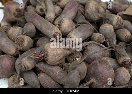 Les légumes cultivés naturellement vendu au marché betterave Banque D'Images