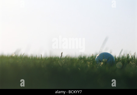 Balle de golf dans l'herbe, extreme close-up Banque D'Images