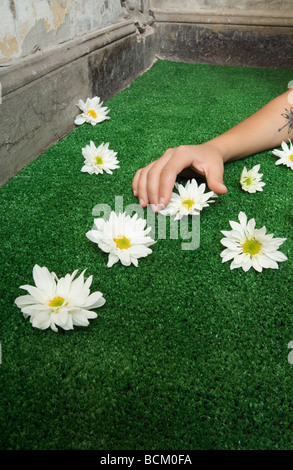 Woman picking up flower de gazon artificiel, cropped view of arm Banque D'Images