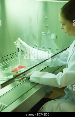 Female scientist working in laboratory, side view Banque D'Images