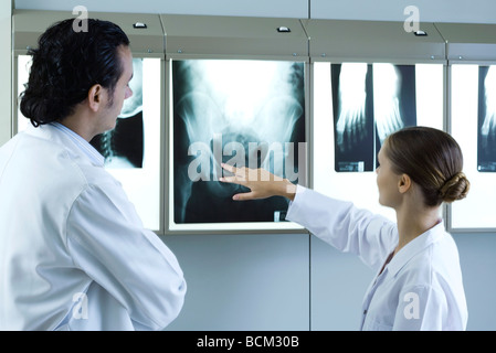 Medical colleagues discussing x-rays on lightbox Banque D'Images