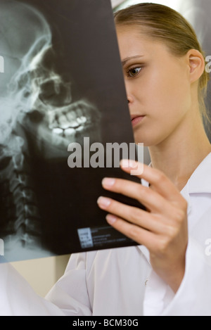 Médecin à la recherche de x-ray, close-up Banque D'Images