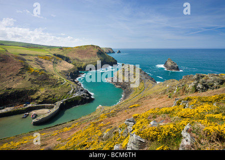 Boscastle Harbour depuis la colline pénalement Cornouailles du Nord Angleterre PRINTEMPS Avril 2009 Banque D'Images