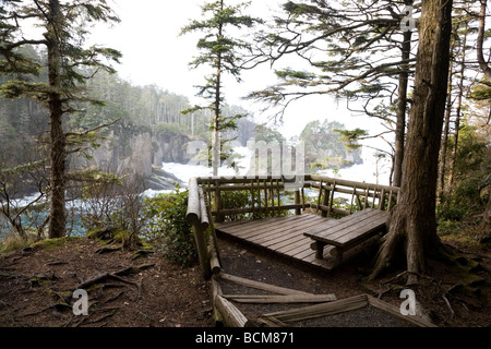 Oublier sur le sentier du cap Flattery côte Olympique National Marine Sanctuary l'État de Washington Banque D'Images