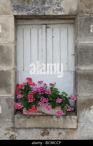 Fenêtre traditionnelle avec une boîte à fleurs plein de géraniums en France Banque D'Images