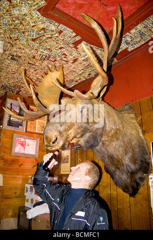 L'homme se nourrit d'une bière à un trophée orignal sur le mur à l'étoile filante tricorps à Huntsville l'Utah . Banque D'Images