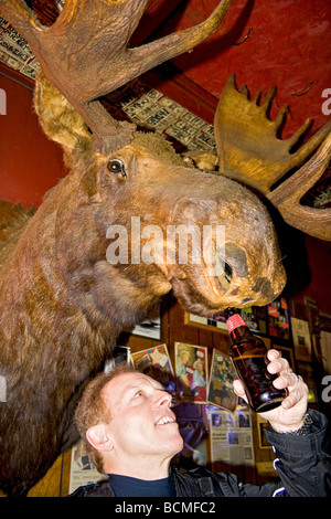 L'homme se nourrit d'une bière à un trophée orignal sur le mur à l'étoile filante tricorps à Huntsville dans l'Utah. Banque D'Images