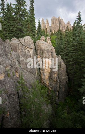 Les clochers de la cathédrale de granit (flèches) dans les Black Hills, Custer State Park, le Dakota du Sud Banque D'Images