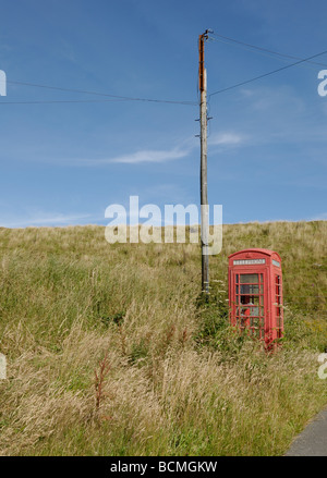 Cabine téléphonique rouge abandonnée et envahie dans le paysage. Image verticale. Banque D'Images