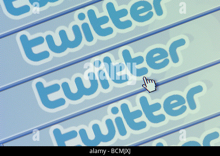 Capture d'écran de la Macro Twitter Réseaux sociaux et micro-blogging site montrant plusieurs logos Twitter (usage éditorial uniquement) Banque D'Images