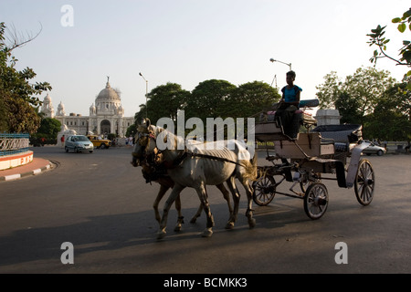 Un cheval entraîné panier en face de Victoria Memorial Hall Banque D'Images