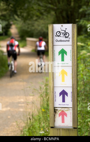 Deux cyclistes de montagne faire du vélo le long d'un sentier à Hamsterley Forest dans le comté de Durham, Angleterre. Banque D'Images