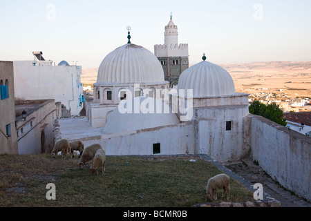 Mosquée de Sidi Bou Makhlouf El Kef, l'un des plus sous-destinations touristiques de la Tunisie Banque D'Images