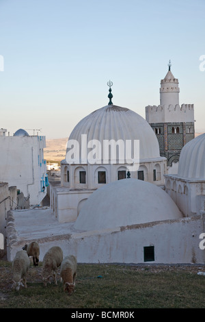 Mosquée de Sidi Bou Makhlouf El Kef, l'un des plus sous-destinations touristiques de la Tunisie Banque D'Images