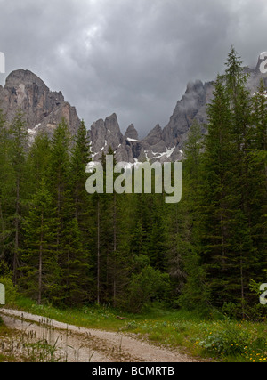 Sesto massif, Dolomites, Italie Banque D'Images