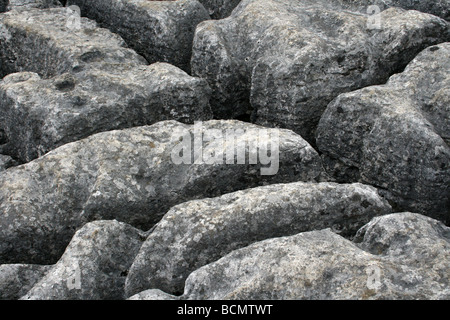 Clints et Grikes dans le Lapiez à Malham Cove, Yorkshire, Angleterre, Royaume-Uni Banque D'Images