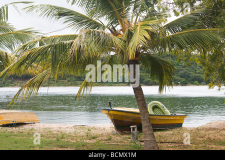 Bateau à Ceylan les pêcheurs sur la mer Club Clappenburg Bay, à Trincomalee Banque D'Images