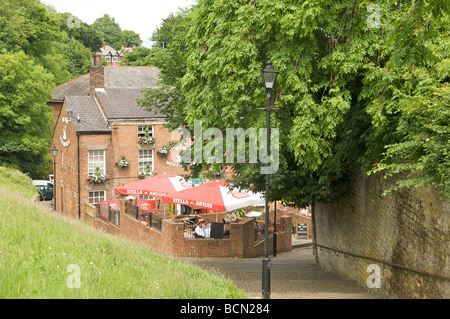 Swan avec deux cols, Chorley, Lancashire, uk Banque D'Images