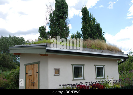 Sur un toit vert toolshed jardiniers Banque D'Images