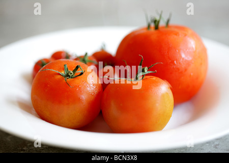 Assiette pleine de juteux frais mûrs variétés de salade et tomates cuisson avec aucun peuple et Copy Space Banque D'Images