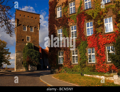 Pologne Cracovie Wawel Thieve s Zlodziejska Tower Banque D'Images