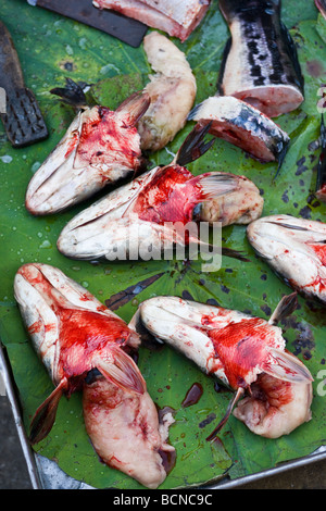 Têtes de poissons à vendre à Phnom Penh Cambodge Marché Banque D'Images