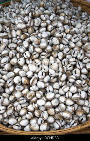 Les coques sur Stall à Phnom Penh au Cambodge Banque D'Images