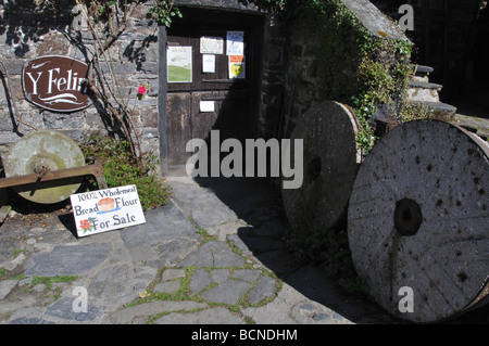 Moulin à eau St Dogmaels Banque D'Images