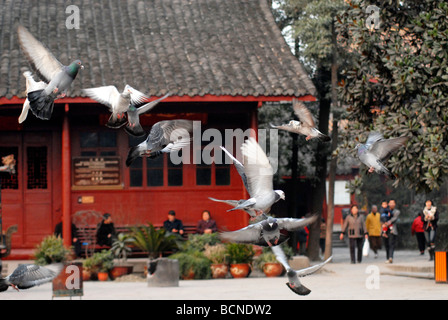 Temple Zhaojue, Chengdu, province du Sichuan, Chine Banque D'Images
