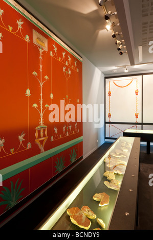 Fresque gallo-romaine de reproduction et d'affichage en cas converti Musée Archéologique / Musée archéologique - Martizay, Indre, France. Banque D'Images