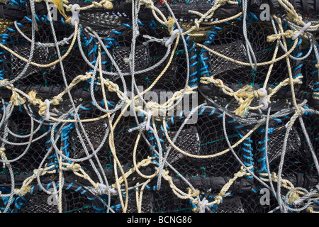 La Nasse sur Berneray port, Western Isles, Ecosse Banque D'Images