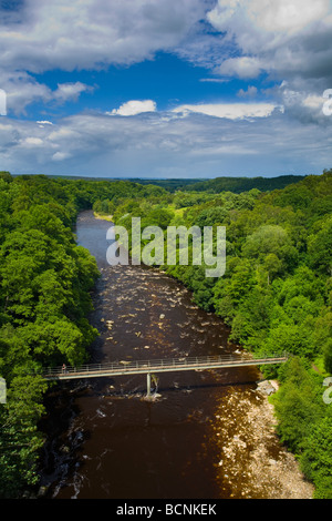 Northumberland England Lambley passerelle traversant la rivière South Tyne comme il coule entre forêt vu du viaduc Lambley Banque D'Images