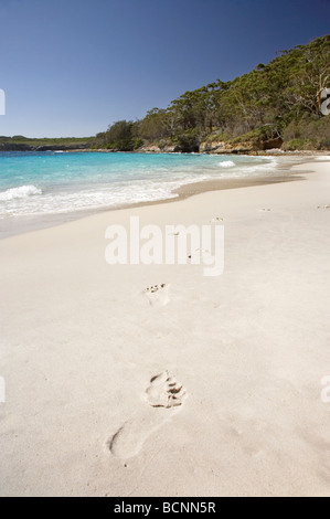 Des traces de pas dans le sable Murrays Beach Parc National Booderee Jervis Bay Territory Australie Banque D'Images