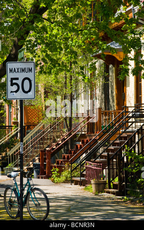 Rangée de maisons typiques avec escaliers en Plateau Mont Royal Montréal Québec Canada Banque D'Images