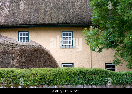 Détail de thatch cottage en Irlande Adare Banque D'Images