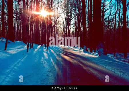 Winter Forest Road avec Sunstar New Jersey Banque D'Images