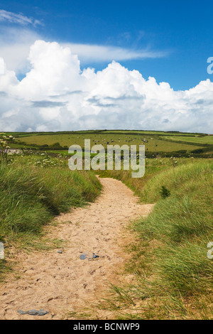 Sentier des dunes Gunwalloe étés ensoleillés jour ciel bleu soleil Péninsule du Lézard Cornwall England UK GB Royaume-Uni grand T0 Banque D'Images