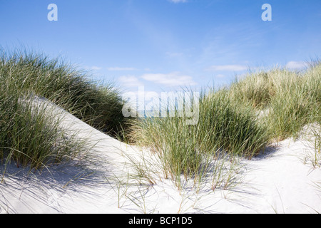 Kilpheder près de dunes sur la côte ouest de South Uist, Western Isles of Scotland Banque D'Images