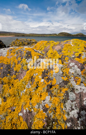 Les roches et les lichens, Gaineamh Smo, près de Poolewe Banque D'Images